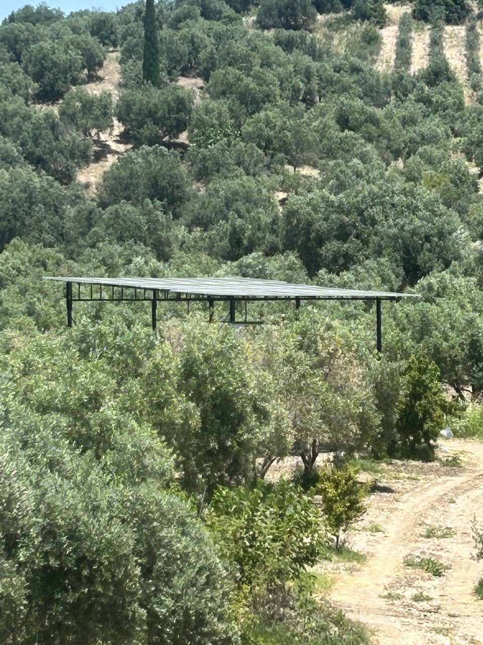 Akhisar'de 12.5 HP Güneş Enerjili Sulama Sistemi — Manisa Akhisar güneş enerjili sulama sistemi fotoğrafı