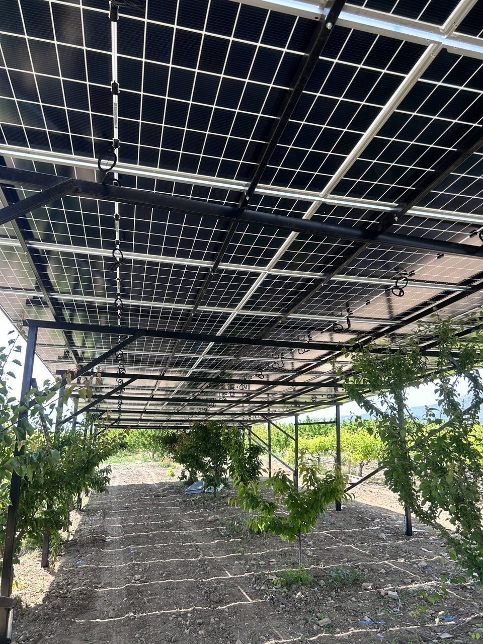 Sancaklıbozköy'de 30 HP Güneş Enerjili Sulama Sistemi — Manisa Sancaklıbozköy güneş enerjili sulama sistemi fotoğrafı