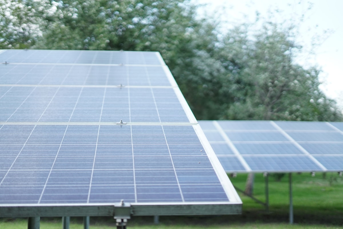 Söke'de zeytinliğe kurulan güneş enerjili sulama sistemi